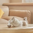 【PetSnowy】SNOW+ 寵物逗貓不倒翁(貓玩具 逗貓棒 不倒翁)