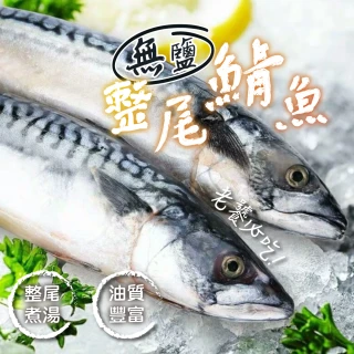 【一手鮮貨】無鹽整尾挪威鯖魚(5尾組/單尾600g~550g/鯖魚)