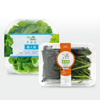 【NICE GREEn 美蔬菜】美蔬菜4入+羽衣甘藍盒2入送4包沙拉醬(生菜 沙拉 蔬菜 萵苣 羽衣甘藍)