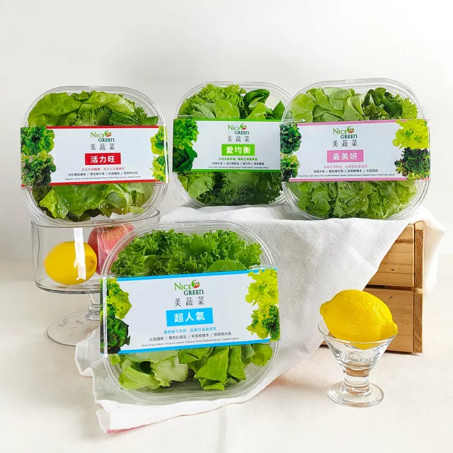 【NICE GREEn 美蔬菜】美蔬菜4入+羽衣甘藍盒2入送4包沙拉醬(生菜 沙拉 蔬菜 萵苣 羽衣甘藍)