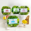 【NICE GREEn 美蔬菜】美蔬菜6盒+舒肥雞16包送6包沙拉醬(生菜 舒肥雞胸肉 美生菜 蔬菜 健身餐)