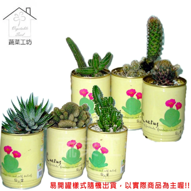 蔬菜工坊 iPlant易開罐花卉-仙人掌