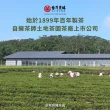 【台灣農林】日月紅茶茶包 3入組(2.4gx25入/盒)