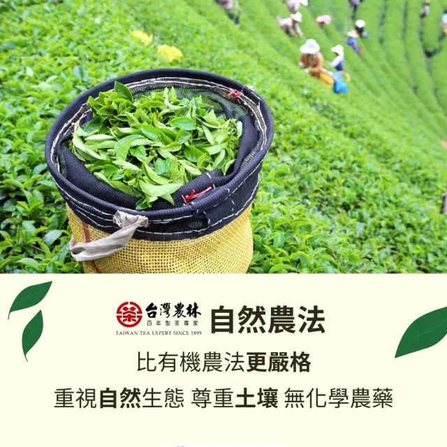 【台灣農林】2024頂級茶葉禮盒 無毒自然農法芯芽 父親節禮盒(20gx5罐+30gx1罐/盒)