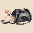 【TRENY】輕量寵物外出旅行提袋