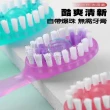 【Nick Shop】一次性爆珠多功能牙刷-5入(旅行牙刷 便攜式牙刷 應急牙刷 家用牙刷 爆珠牙刷)