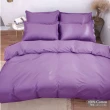【LUST】素色簡約 貴紫 精梳棉《四件組B》100%純棉/雙人/床包/歐式枕套X2 含薄被套X1(台灣製造)