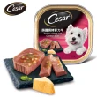 【Cesar西莎】精緻/風味餐盒 100g*48入 寵物/狗罐頭/狗食(任選)