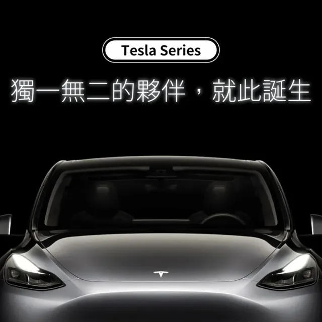 【peripower】Tesla系列 TT-02 轉接頭 NACS-TPC to CCS2-ACT-YPE2(車麗屋)
