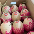 【皮果家】台灣溫室網紋紅肉哈密瓜 10斤 6-14顆/箱(香甜可口＿當季鮮果)