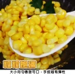 【海肉管家】鮮凍玉米粒(共4kg_1kg/包)