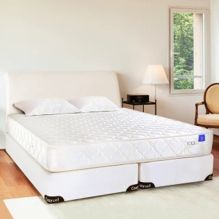 【德泰 索歐系列】900加網 彈簧床墊-雙人5尺(送保潔墊)