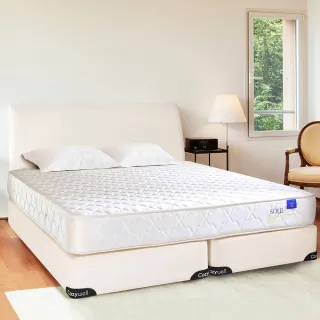 【德泰 索歐系列】雅致620 彈簧床墊-雙人5尺(送保潔墊)