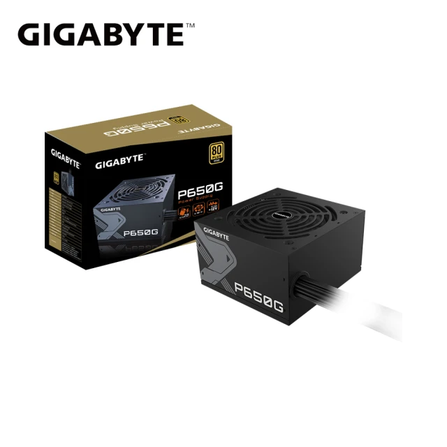 GIGABYTE 技嘉 (2入) 850W PG5 電源供應