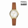 【FOSSIL 官方旗艦館】Eevie系列 環刻女錶真皮錶帶指針手錶 30MM(多色可選)