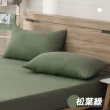 【ISHUR伊舒爾】台灣製造 柔絲棉素色枕頭套2入組(柔絲棉 無印風 多款任選)
