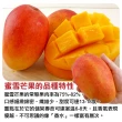 【WANG 蔬果】台東蜜雪芒果大果2.5kgx2箱(4-6顆/箱_果農直配)