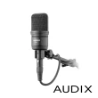 【AUDIX】A131 電容式麥克風(公司貨)