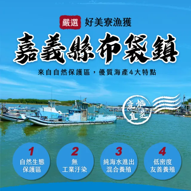 【好美農漁產】好美里產地直送澎湃海鮮組(純海水養殖靈芝白蝦、整尾無刺虱目魚、限量醬醃蛤嬤)