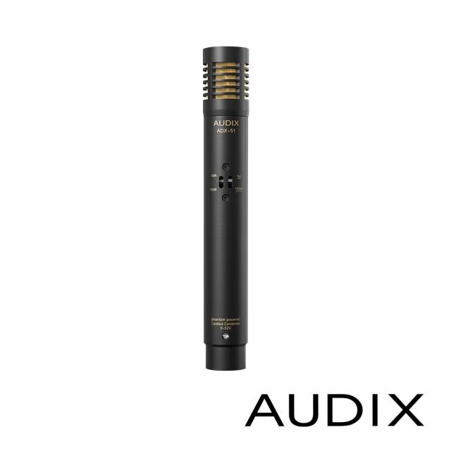 AUDIX D4 動圈式樂器麥克風(公司貨)好評推薦