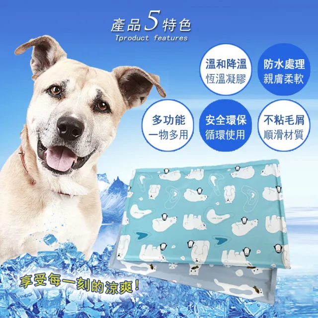 【DTW】日式沁涼寵物冰涼墊-2入(買一片送一片)