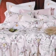 【AGAPE 亞加．貝】頂級60支《美華研》100%純天絲 雙人加大6x6.2尺 鋪棉兩用被床罩八件組(專櫃100%天絲製)