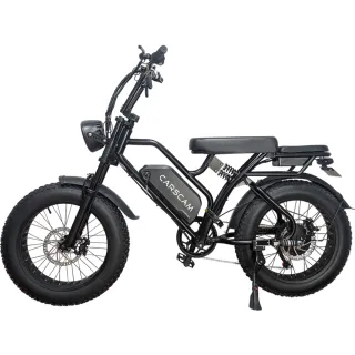 【CARSCAM】SP3 48V胖胎復古電動輔助自行車
