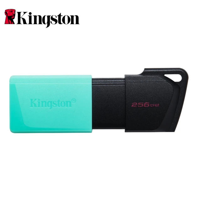 Kingston 金士頓Kingston 金士頓 DataTraveler Exodia M 256GB USB 隨身碟