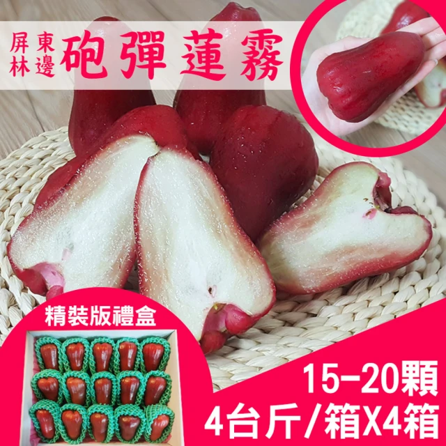 皮果家 屏東枋寮黑珍珠蓮霧5斤一箱(約15-30顆)優惠推薦