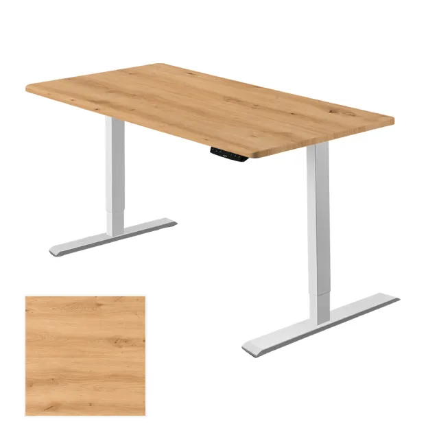 【FUNTE】Mini+ 雙柱電動升降桌/二節式 120x60cm 八色可選(辦公桌 電腦桌 工作桌)