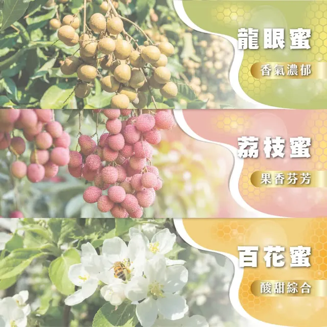 【真豐巢】100%台灣純蜂蜜2桶組口味任選(1200g/桶;龍眼/荔枝/百花)