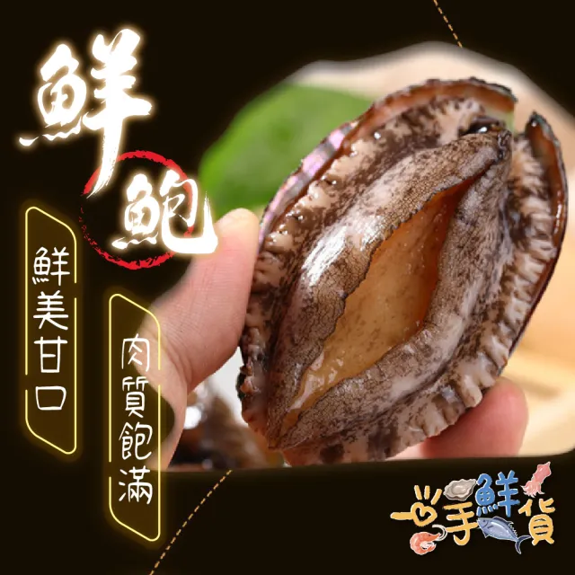 【一手鮮貨】熟凍半殼鮑魚(3包組/單包12顆/帶殼鮑魚)