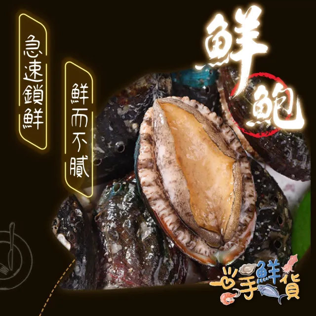 【一手鮮貨】熟凍半殼鮑魚(2包組/單包28顆/帶殼鮑魚)