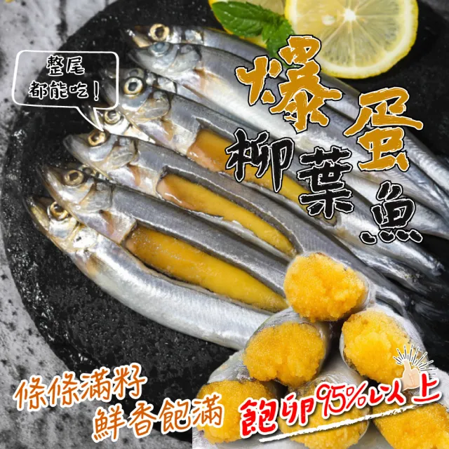【一手鮮貨】加拿大XXL爆卵柳葉魚(3包組/含卵率95%)