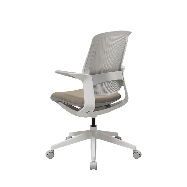 SIDIZ】T25 人體工學椅塑膠扇背款(辦公椅電腦椅透氣網椅學習椅) - momo 