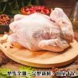 【海肉管家】台灣土雞全雞(1隻_0.9-1.2Kg/隻)