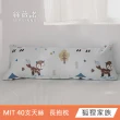 【絲薇諾】MIT 40支天絲™萊賽爾 全身枕/長抱枕(110x40cm-多款任選)