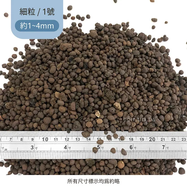 【瘋狂植物社】發泡煉石2公升裝_細粒_1號1~4mm(陶粒、水耕、礫耕、多肉植物)