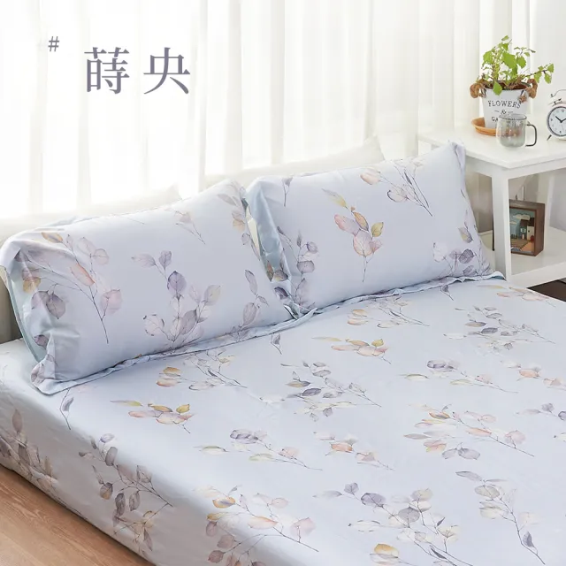 【BELLE VIE】台灣製 60支天絲 特大床包枕套三件組(多款任選)