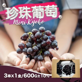 【果樹寶石】卓蘭珍珠葡萄3串x1盒（約1斤/盒）(產銷履歷認證 極少種植限量販售)