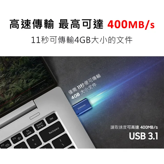 【SAMSUNG 三星】USB3.1 Type-C 256GB隨身碟(MUF-256DA)