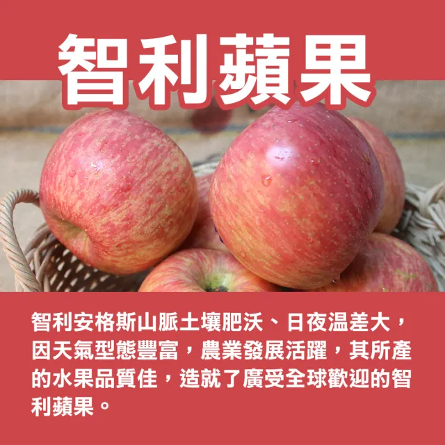 【甜露露】智利蘋果32入x1箱(10kg±10%)
