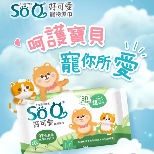 【南六】SOQ好可愛寵物濕巾-抗菌60抽x3包組(寵物全身/無酒精/無香料/食品級原料)