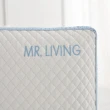 【MR. LIVING 居家先生】買一送一 涼感減壓記憶枕-60*40*14cm(透氣涼感 雙面設計 可拆洗)
