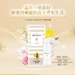 【Farcent 香水】室內擴香補充品5入 附擴香棒(100ml/入-小蒼蘭英國梨/鼠尾草海鹽/真我星夜/同名花語)