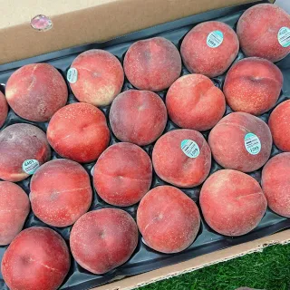 【WANG 蔬果】美國加州水蜜桃18-21顆x1箱(4.5kg/箱_原裝箱 空運直送)