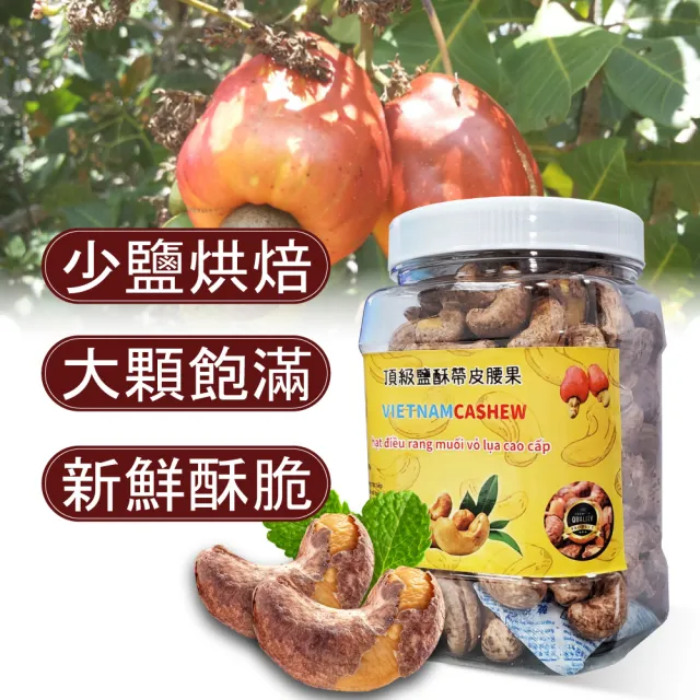 【VIETNAM CASHEW】越南頂級鹽酥帶皮腰果X2入(480g/罐)