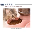 【Truly House】3.8L寵物自動餵食器/貓咪餵食器/餵食器/狗餵食器(兩色任選)