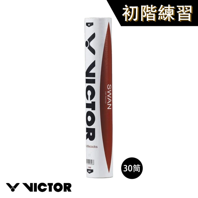 VICTOR 勝利體育 PROFESSIONAL B-03 