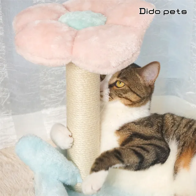 【Dido pets】馬卡龍花朵造型貓爬架 貓抓柱 貓窩(PT207)